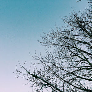 Meet your Posher, Ruth